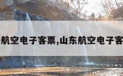 山东航空电子客票,山东航空电子客票号