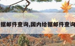 国内给据邮件查询,国内给据邮件查询怎么查