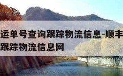 顺丰速运单号查询跟踪物流信息-顺丰速运单号查询跟踪物流信息网