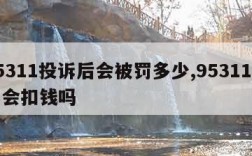 95311投诉后会被罚多少,95311投诉会扣钱吗