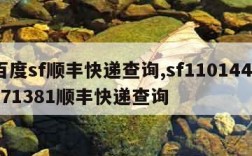 百度sf顺丰快递查询,sf1101447771381顺丰快递查询