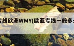 欧亚专线欧洲WMY(欧亚专线一般多久能到)