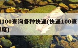 快递100查询各种快递(快递100查询快递速度)