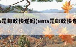 ems是邮政快递吗(ems是邮政快递吗?)