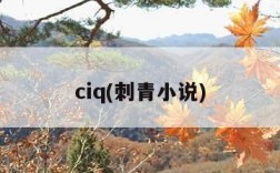 ciq(刺青小说)