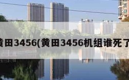 黄田3456(黄田3456机组谁死了)