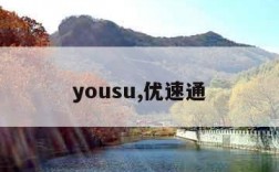 yousu,优速通