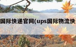 ups国际快递官网(ups国际物流快递查询)