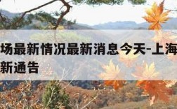 上海机场最新情况最新消息今天-上海机场今天的最新通告