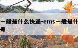 ems一般是什么快递-ems一般是什么快递单号