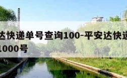 平安达快递单号查询100-平安达快递单号查询1000号