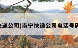 南宁快递公司(南宁快递公司电话号码查询)