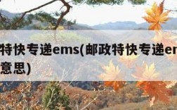 邮政特快专递ems(邮政特快专递ems是什么意思)