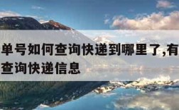 有快递单号如何查询快递到哪里了,有快递单号怎么查询快递信息