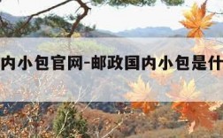 邮政国内小包官网-邮政国内小包是什么快递公司