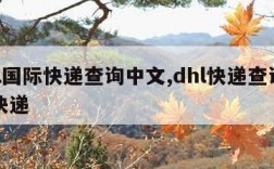 dhl国际快递查询中文,dhl快递查询国际快递