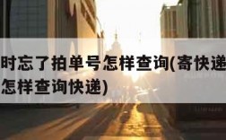 寄快递时忘了拍单号怎样查询(寄快递时忘了拍单号怎样查询快递)