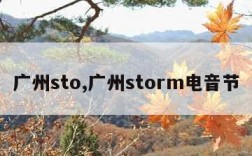 广州sto,广州storm电音节