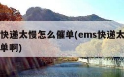 ems快递太慢怎么催单(ems快递太慢怎么催单啊)