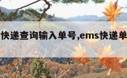 ems快递查询输入单号,ems快递单查询码