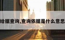 给据查询,查询依据是什么意思