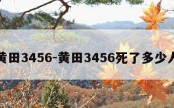 黄田3456-黄田3456死了多少人