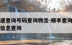 顺丰快递查询号码查询物流-顺丰查询快递单号查询信息查询