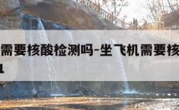 坐飞机需要核酸检测吗-坐飞机需要核酸检测吗2021