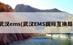 武汉ems(武汉EMS国际互换局)
