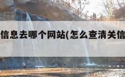 查清关信息去哪个网站(怎么查清关信息快递信息)