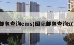 国际邮包查询ems(国际邮包查询辽阳市)