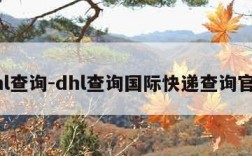 dhl查询-dhl查询国际快递查询官网