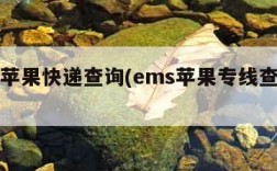 ems苹果快递查询(ems苹果专线查询号码)