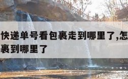 怎么查快递单号看包裹走到哪里了,怎样查询快递包裹到哪里了