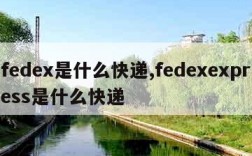 fedex是什么快递,fedexexpress是什么快递