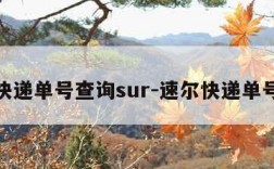 速尔快递单号查询sur-速尔快递单号查询