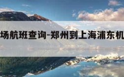 浦东机场航班查询-郑州到上海浦东机场航班查询