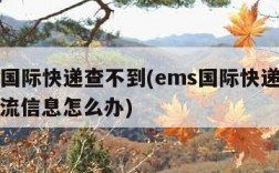 ems国际快递查不到(ems国际快递查不到物流信息怎么办)