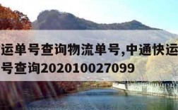 中通快运单号查询物流单号,中通快运单查询物流单号查询202010027099