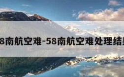 58南航空难-58南航空难处理结果