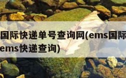 ems国际快递单号查询网(ems国际快递查询ems快递查询)