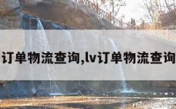 订单物流查询,lv订单物流查询