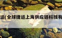 全球捷运(全球捷运上海供应链科技有限公司)