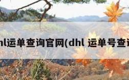 dhl运单查询官网(dhl 运单号查询)