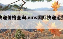 国际快递价格查询,ems国际快递运费价格表