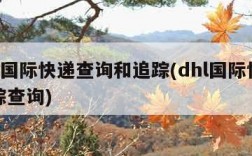 dhl国际快递查询和追踪(dhl国际快递跟踪查询)