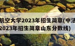 中法航空大学2023年招生简章(中法航空大学2023年招生简章山东分数线)